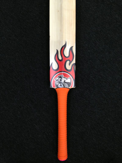 Logo cricket bat